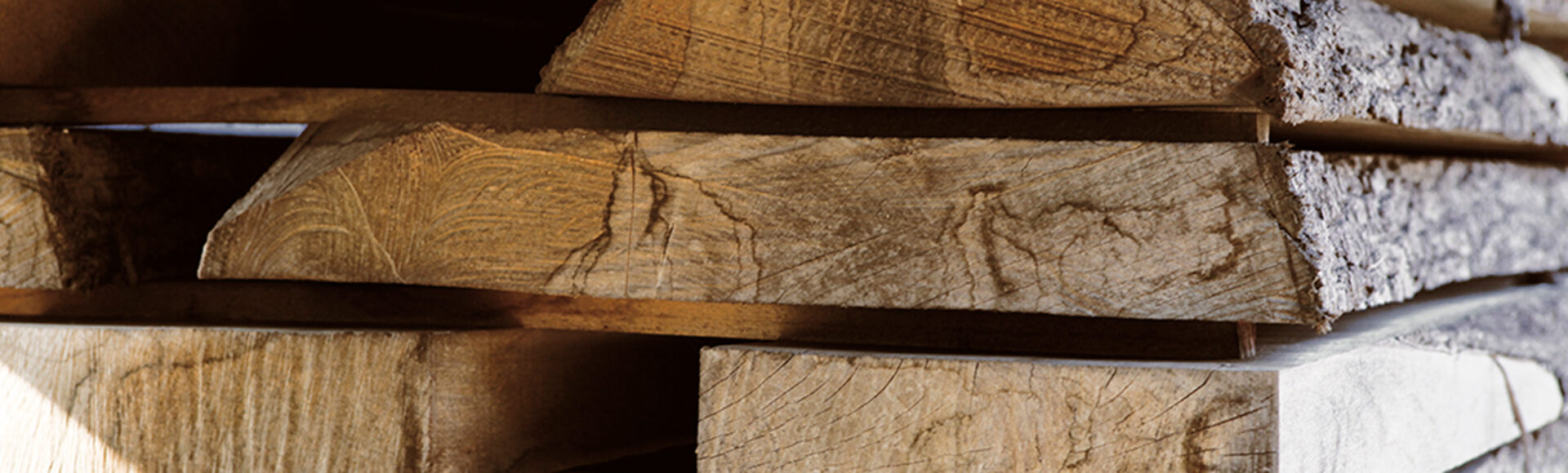 Legname